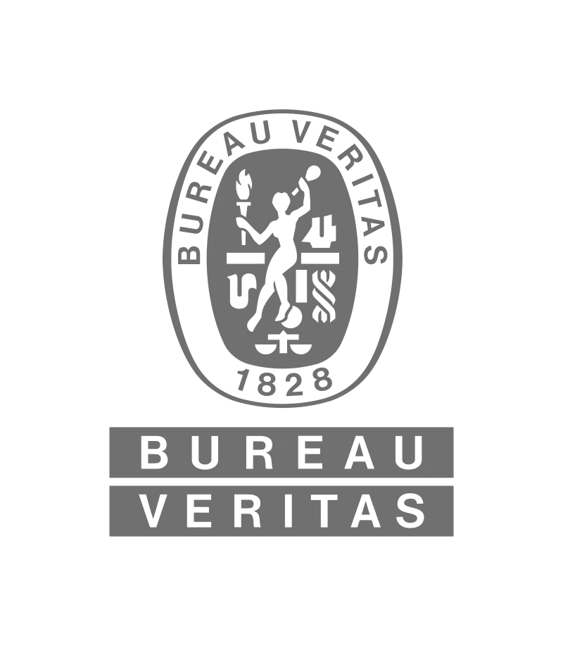 Logo Bureau Veritas
